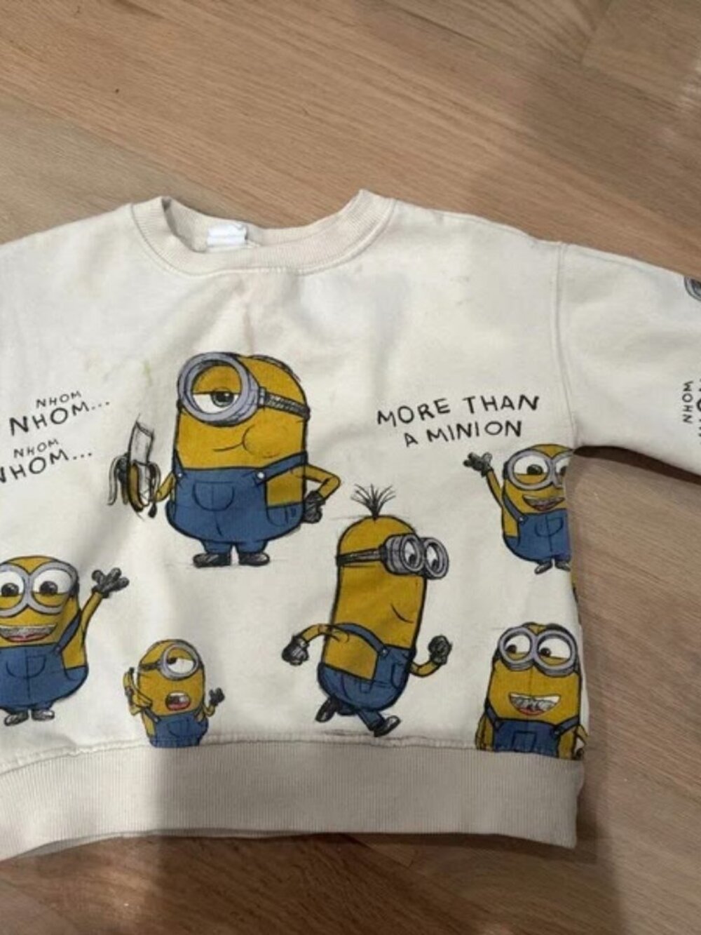 Zara Kids Sweatshirt 2T-3T